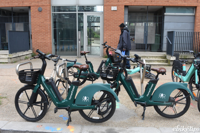 Human forest outlet bikes